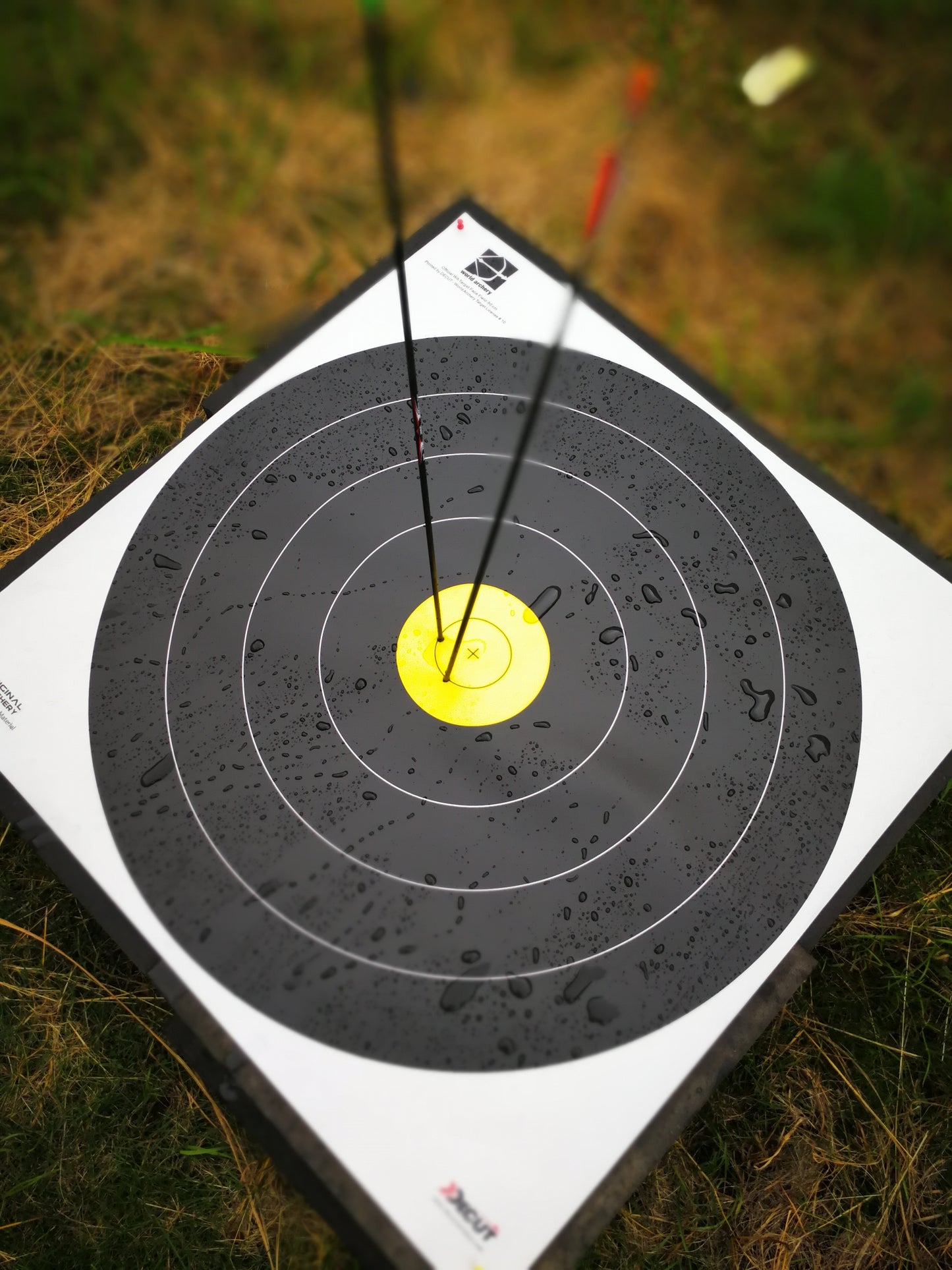 Decut World Archery Official Field Target Face (40 cm) (10pcs)