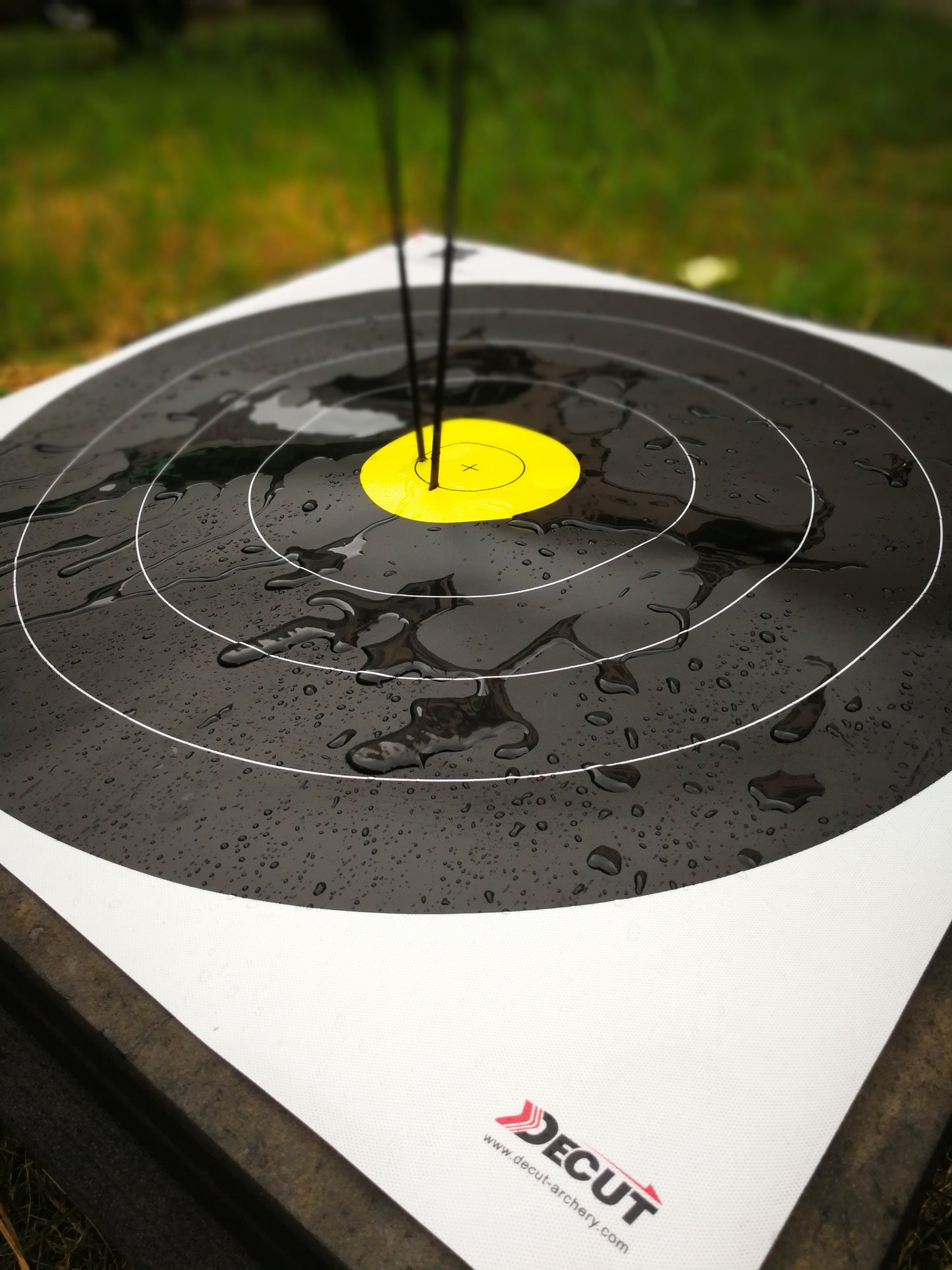 Decut World Archery Official Vertical 3 Spot Field Target Face (20 cm) (10pcs)
